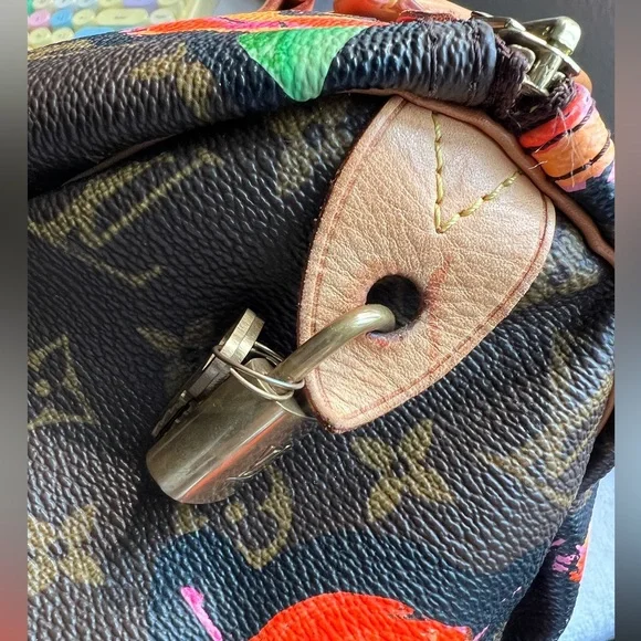 LOUIS VUITTON Steven Sprouse Monogram Roses Speedy 30 Limited Edition 2008 - Picture 12 of 16